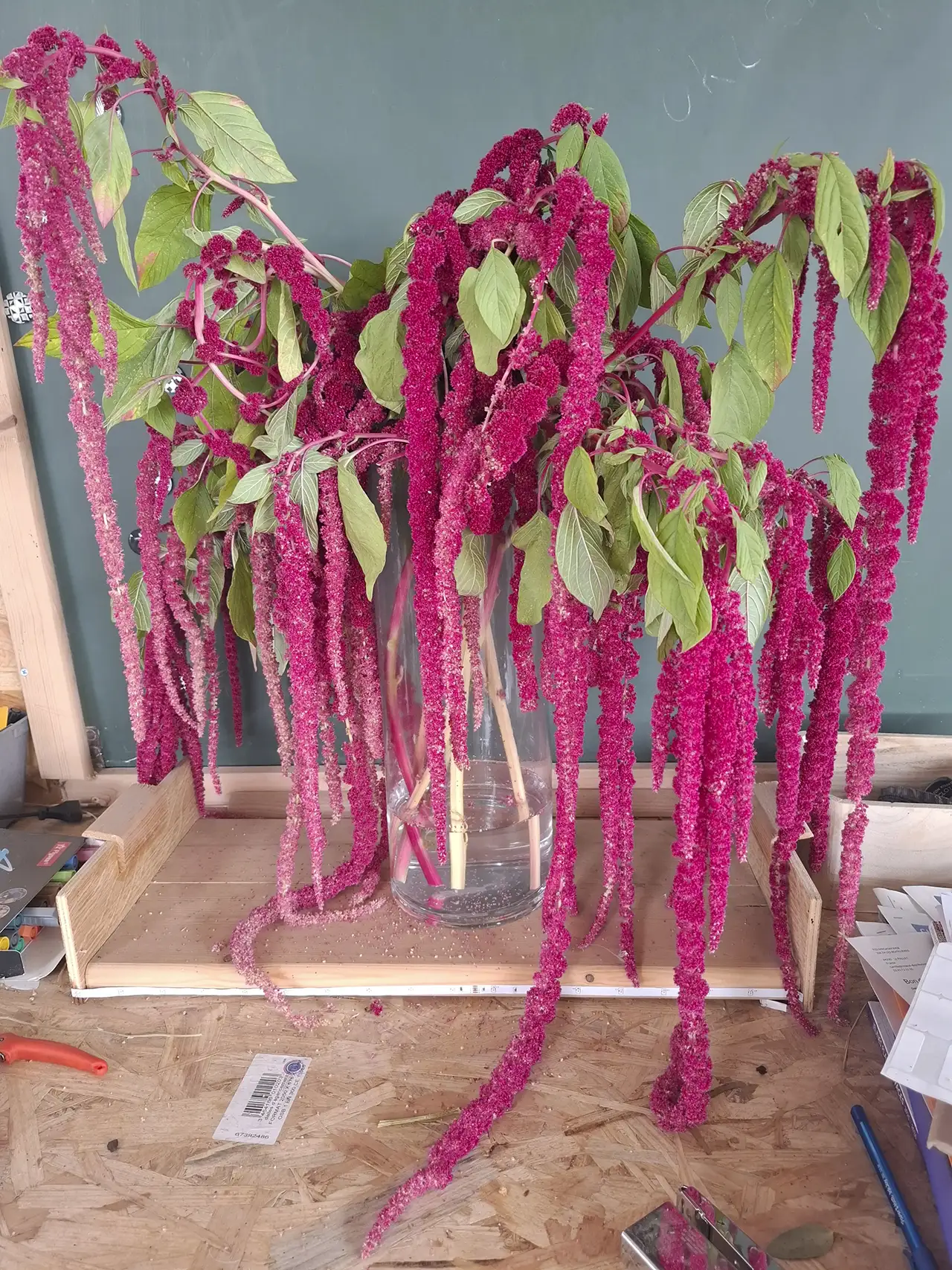 Amarante rouge aux longs épis retombants, préparée en atelier pour une décoration spectaculaire.